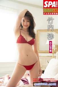 写真集 竹内渉 グラビアン魂 いい尻、旅立ち 大人な下着 ...