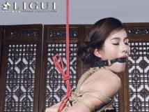 [Ligui丽柜]2014.07.13 Model 潼潼[40+1P29.7M]